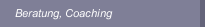 Beratung, Coaching